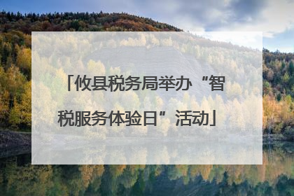 攸县税务局举办“智税服务体验日”活动