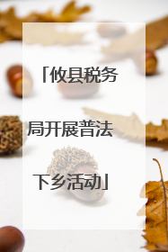 攸县税务局开展普法下乡活动
