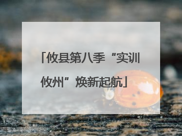 攸县第八季“实训攸州”焕新起航