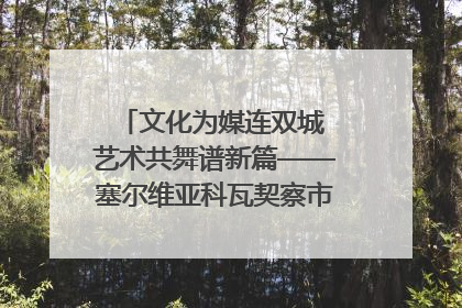 文化为媒连双城 艺术共舞谱新篇——塞尔维亚科瓦契察市代表团访问日照