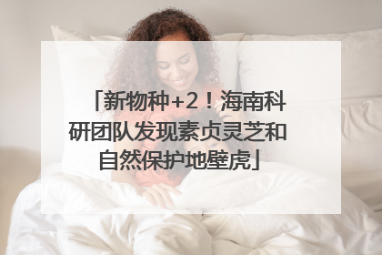 新物种+2！海南科研团队发现素贞灵芝和自然保护地壁虎