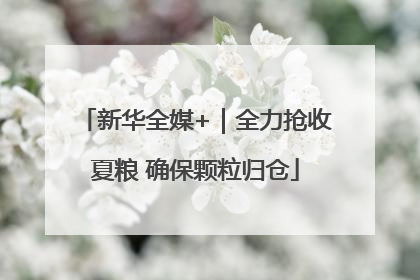 新华全媒+｜全力抢收夏粮 确保颗粒归仓