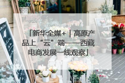新华全媒+｜高原产品上“云”端——西藏电商发展一线观察