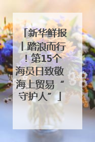 新华鲜报丨踏浪而行！第15个海员日致敬海上贸易“守护人”