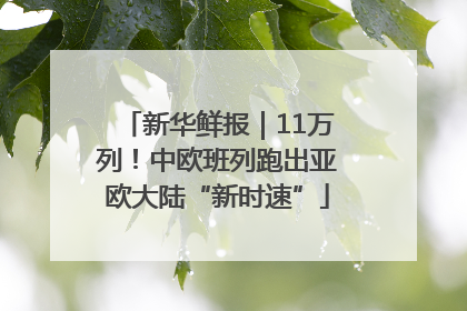 新华鲜报｜11万列！中欧班列跑出亚欧大陆“新时速”