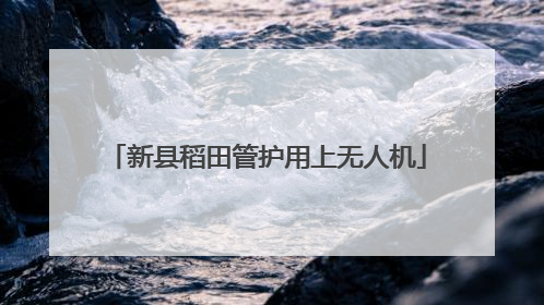 新县稻田管护用上无人机
