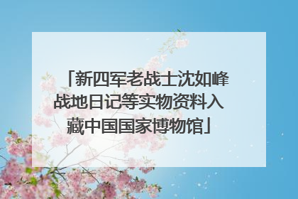 新四军老战士沈如峰战地日记等实物资料入藏中国国家博物馆