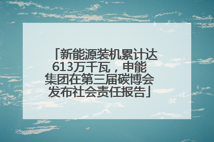 新能源装机累计达613万千瓦，申能集团在第三届碳博会发布社会责任报告