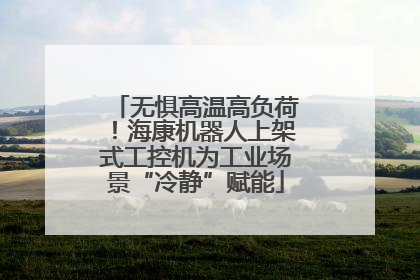无惧高温高负荷！海康机器人上架式工控机为工业场景“冷静”赋能
