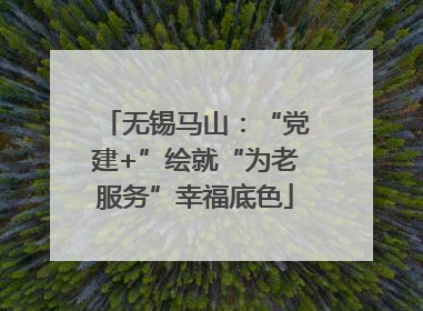 无锡马山：“党建+”绘就“为老服务”幸福底色