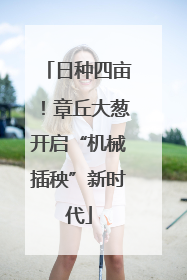 日种四亩！章丘大葱开启“机械插秧”新时代