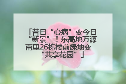 昔日“心病”变今日“新景”！东高地万源南里26栋楼前绿地变“共享花园”