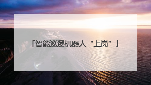 智能巡逻机器人“上岗”