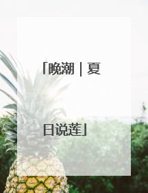 晚潮｜夏日说莲