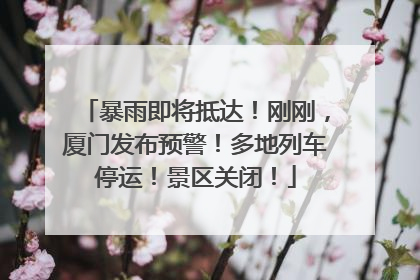 暴雨即将抵达！刚刚，厦门发布预警！多地列车停运！景区关闭！