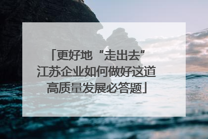 更好地“走出去” 江苏企业如何做好这道高质量发展必答题