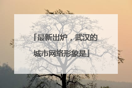 最新出炉，武汉的城市网络形象是