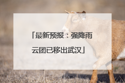 最新预报：强降雨云团已移出武汉
