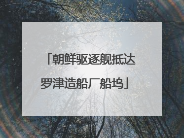 朝鲜驱逐舰抵达罗津造船厂船坞