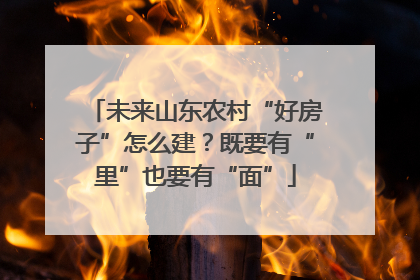 未来山东农村“好房子”怎么建？既要有“里”也要有“面”