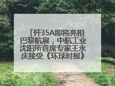 歼35A即将亮相巴黎航展，中航工业沈阳所首席专家王永庆接受《环球时报》专访：未来数量可以有很多
