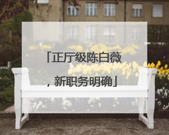 正厅级陈白薇，新职务明确
