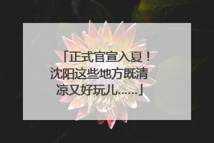 正式官宣入夏！沈阳这些地方既清凉又好玩儿……
