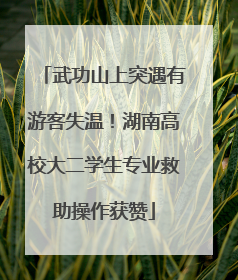 武功山上突遇有游客失温！湖南高校大二学生专业救助操作获赞