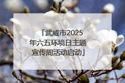 武威市2025年六五环境日主题宣传周活动启动