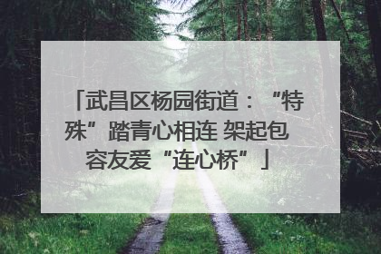 武昌区杨园街道：“特殊”踏青心相连 架起包容友爱“连心桥”