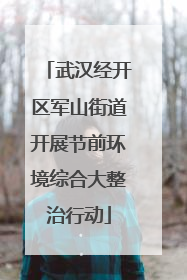 武汉经开区军山街道开展节前环境综合大整治行动
