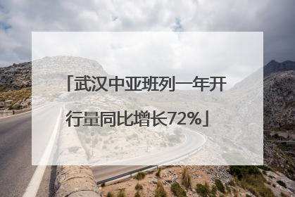 武汉中亚班列一年开行量同比增长72%