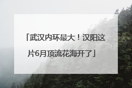 武汉内环最大！汉阳这片6月顶流花海开了