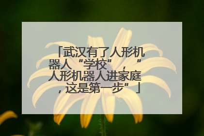 武汉有了人形机器人“学校”，“人形机器人进家庭，这是第一步”