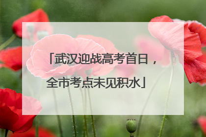 武汉迎战高考首日，全市考点未见积水