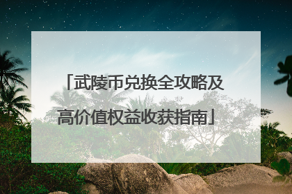 武陵币兑换全攻略及高价值权益收获指南