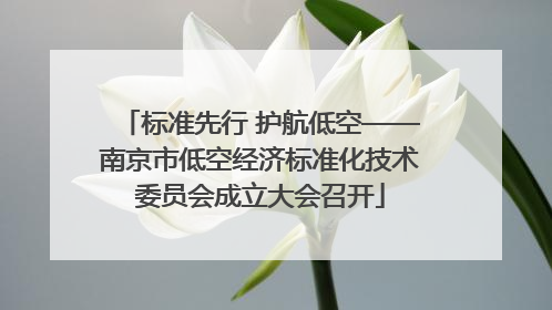 标准先行 护航低空——南京市低空经济标准化技术委员会成立大会召开