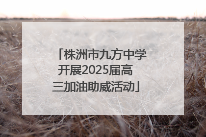 株洲市九方中学开展2025届高三加油助威活动