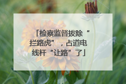 检察监督拔除“拦路虎”，占道电线杆“让路”了