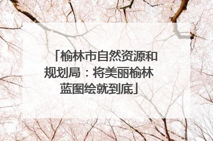 榆林市自然资源和规划局：将美丽榆林蓝图绘就到底