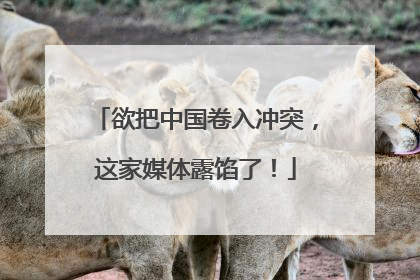 欲把中国卷入冲突，这家媒体露馅了！