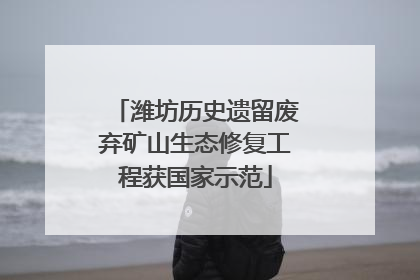 潍坊历史遗留废弃矿山生态修复工程获国家示范
