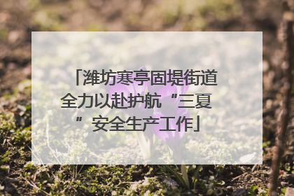 潍坊寒亭固堤街道全力以赴护航“三夏”安全生产工作