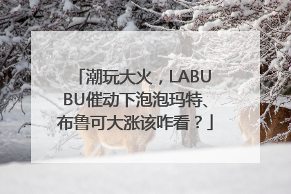 潮玩大火，LABUBU催动下泡泡玛特、布鲁可大涨该咋看？