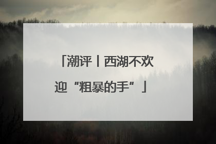 潮评丨西湖不欢迎“粗暴的手”