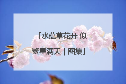 水蕴草花开 似繁星满天｜图集