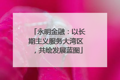 永明金融：以长期主义服务大湾区，共绘发展蓝图