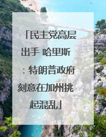 民主党高层出手 哈里斯：特朗普政府刻意在加州挑起混乱