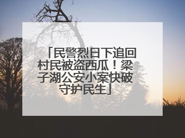 民警烈日下追回村民被盗西瓜！梁子湖公安小案快破守护民生