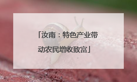 汝南：特色产业带动农民增收致富